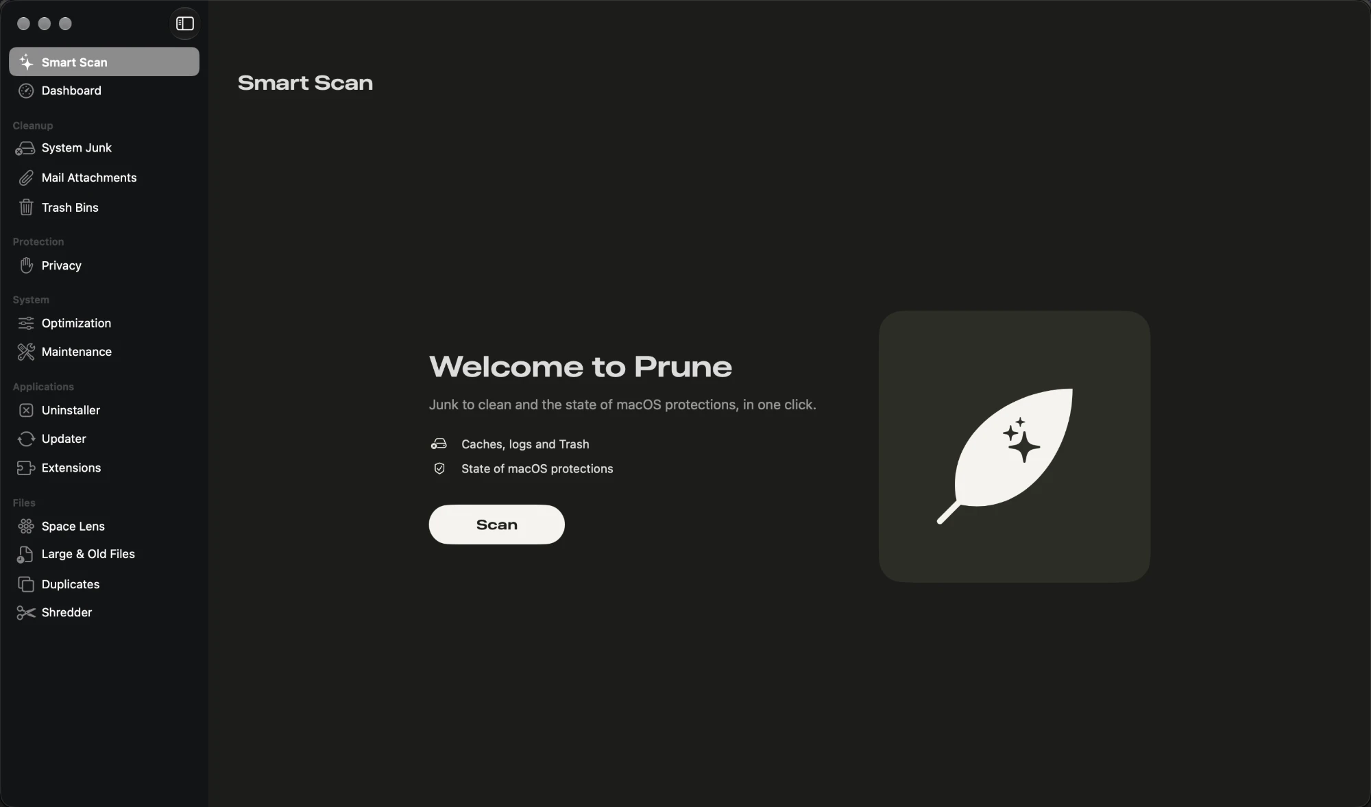 Prune Smart Scan showing junk to clean and the state of macOS protections